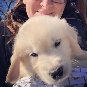 Meet your Posher, Kristin